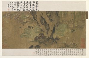 Bamboo, Frog and Insects