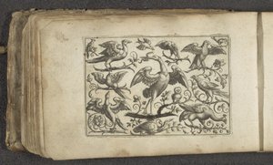 Crane and Twelve Other Birds