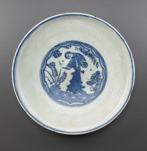 Dish