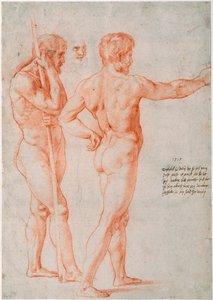 Two Nude Studies, 1515