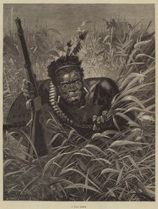 A Zulu Scout