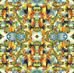 Kaleidoscope Fish Tile