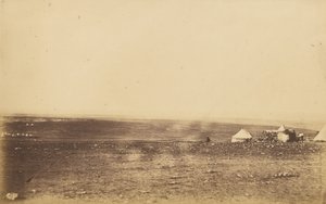 Plateau of Sebastopol VIII