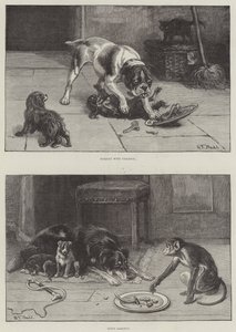 Dogs and Food