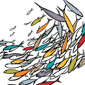 Something Fishy, 2009
