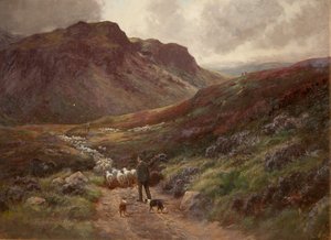 Landscape