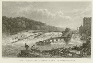 The Coleraine Salmon Leap