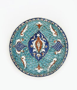 Dish