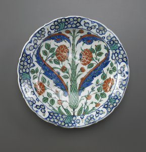 Dish