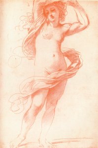 Standing Female Nude