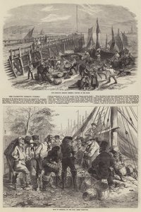 The Yarmouth Herring Fishery