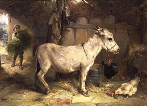 The Donkey