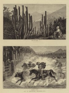 At a Chilian Rodeo, III