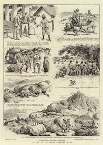 A Tale of a Famous Panther Hunt