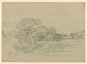 Study of Landscape