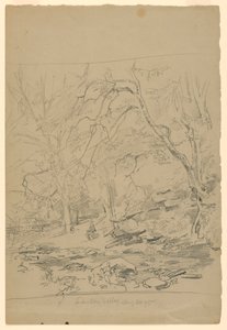 Study of Landscape, Lawton Valley, RI