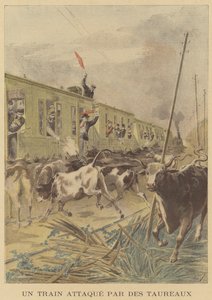 A Train Attacked by Bulls