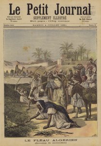 The Algerian Plague