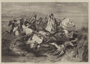 Boar Hunt in Africa