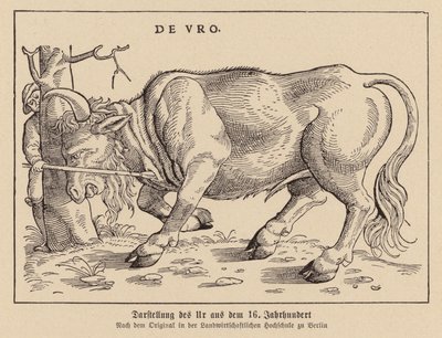 Hunting Aurochs by (after) German School