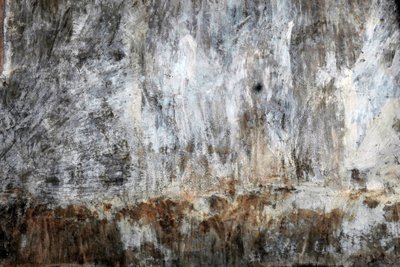 Landscape by Detlef B. Fischer