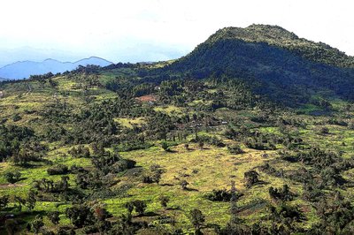 Cebu Hills by Detlef B. Fischer