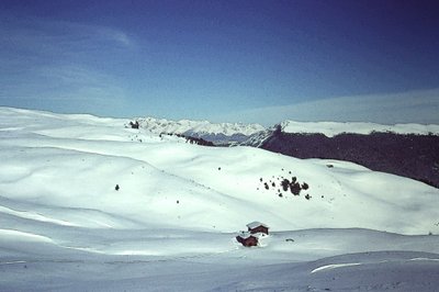 Snow in the Alps by Detlef B. Fischer