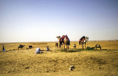 At the Desert by Detlef B. Fischer