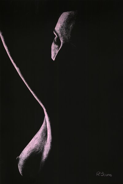  by Richard Young