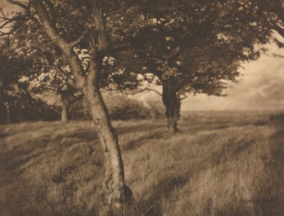 Camera Work: Beyond by A. Horsley Hinton