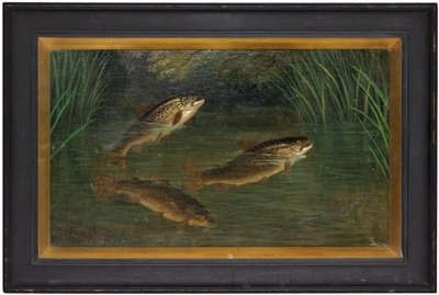 Trout in a River by A. Roland Knight
