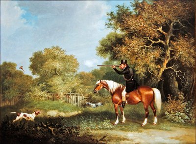 Pheasant shooting by A. S. Boult