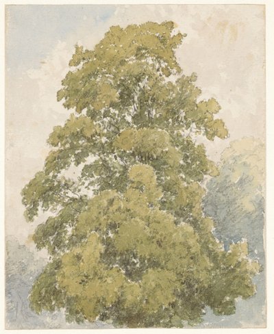 Study of an Elm by Aaron Edwin Penley