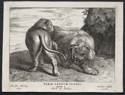 Various Lions by Abraham Blooteling