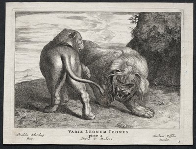 Various Lions by Abraham Blooteling