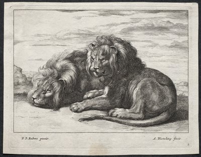 Various Lions by Abraham Blooteling