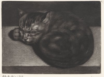 Sleeping Cat by Abraham Bloteling