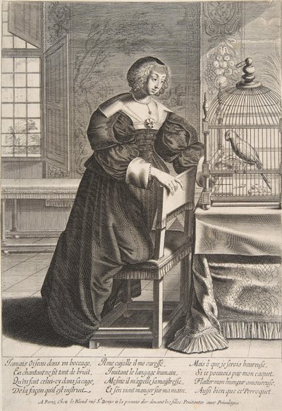 The Parrot, 1620-76 by Abraham Bosse