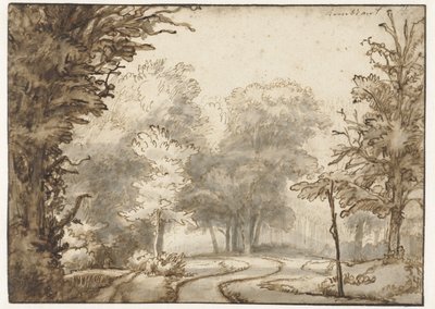 Path Through the Forest by Abraham Furnerius