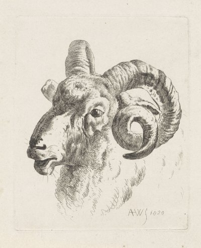 Ram