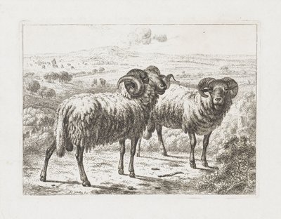 Two Rams by Abraham Hendrik Winter