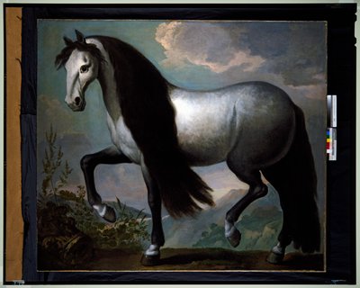 Horse in a Landscape by Abraham Jansz. van Diepenbeeck