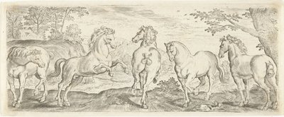 Horses by Abraham de Bruyn (possibly)