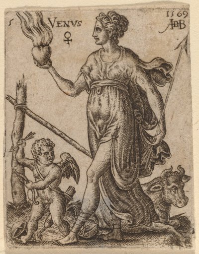 Venus by Abraham de Bruyn