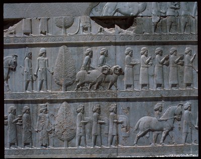 View of the reliefs of eastern stairs by Achaemenid