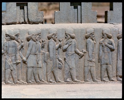View of the reliefs of northern stairs by Achaemenid