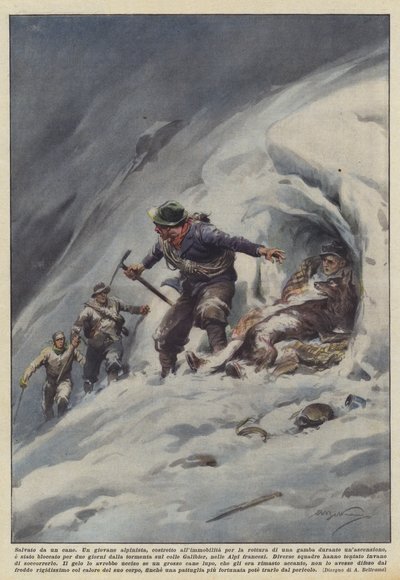 Saved by a Dog by Achille Beltrame