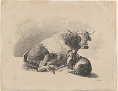 Cow and Goat Lying Down by Adam von Bartsch