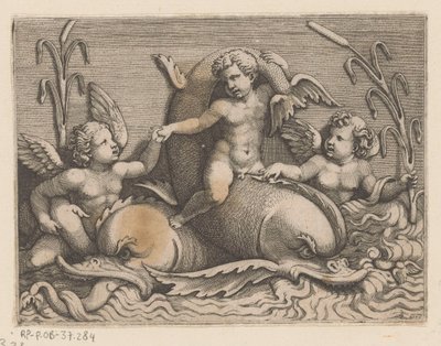 Three Putti with Dolphins by Adamo Scultori