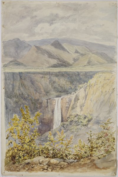 Waterfall in Huauchinango, Puebla State, Mexico by Adela Breton